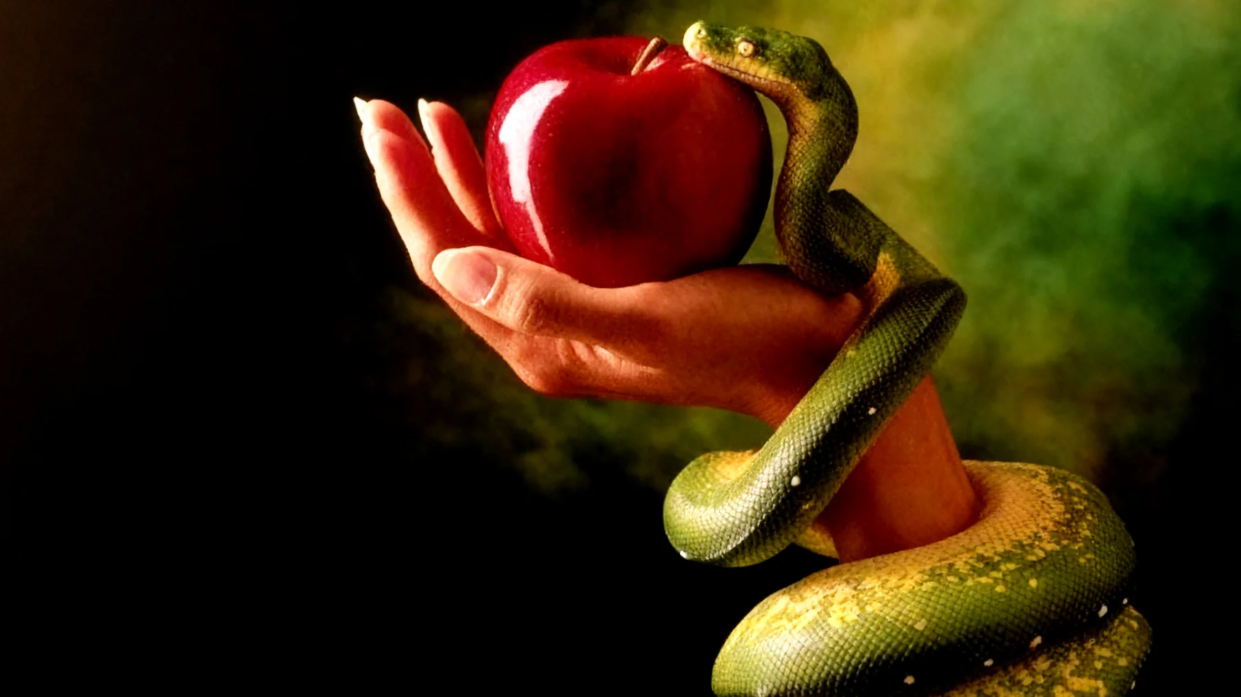 Forbidden Fruit2025-12-29T18:56:43.037Z"