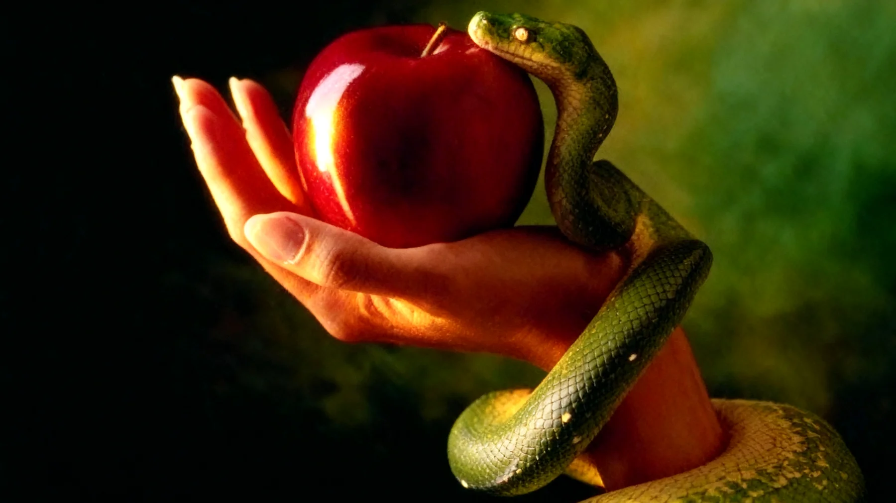 Forbidden Fruit2025-12-30T18:54:46.361Z"