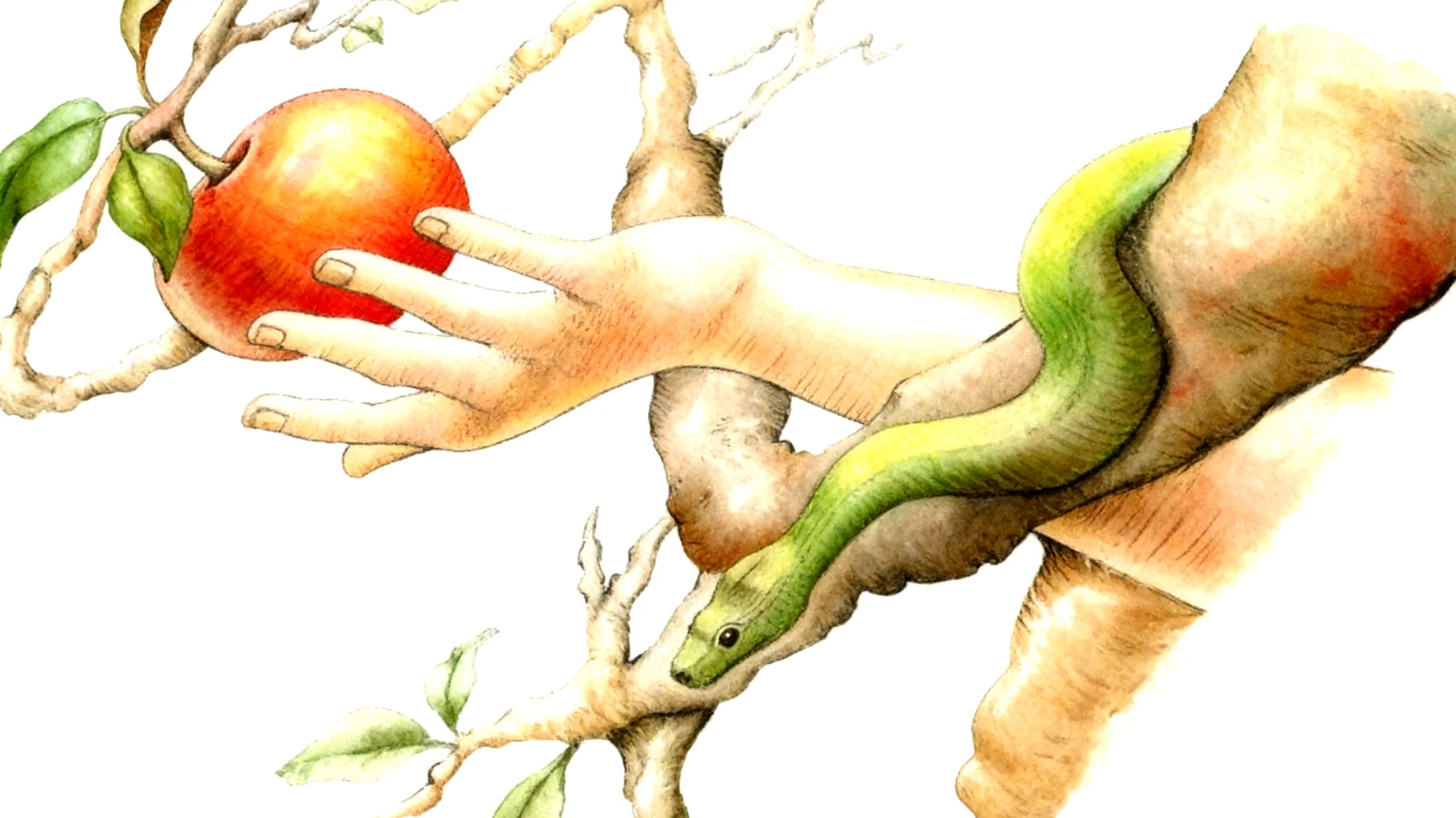 Forbidden Fruit2026-01-03T18:50:06.270Z"